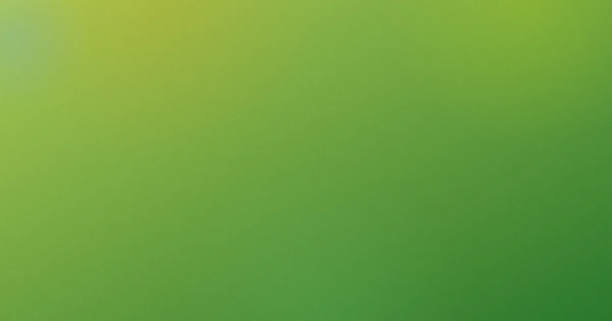 电视猫节目表是什么